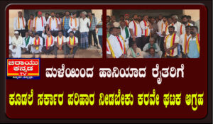 ಮಳೆಯಿಂದ ಹಾನಿಯಾದ ರೈತರಿಗೆ ಕೂಡಲೆ ಸರ್ಕಾರ ಪರಿಹಾರ ನೀಡಬೇಕು ಕರವೇ ಘಟಕ ಆಗ್ರಹ