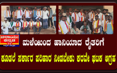 ಮಳೆಯಿಂದ ಹಾನಿಯಾದ ರೈತರಿಗೆ ಕೂಡಲೆ ಸರ್ಕಾರ ಪರಿಹಾರ ನೀಡಬೇಕು ಕರವೇ ಘಟಕ ಆಗ್ರಹ