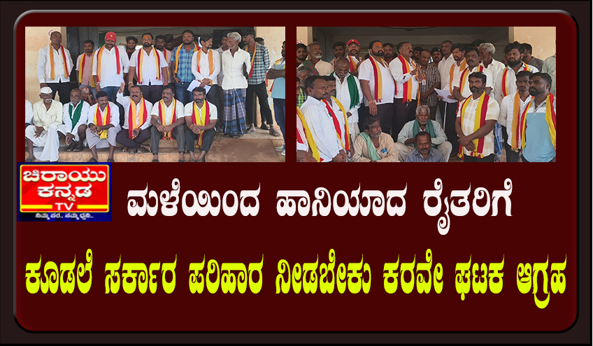 ಮಳೆಯಿಂದ ಹಾನಿಯಾದ ರೈತರಿಗೆ ಕೂಡಲೆ ಸರ್ಕಾರ ಪರಿಹಾರ ನೀಡಬೇಕು ಕರವೇ ಘಟಕ ಆಗ್ರಹ